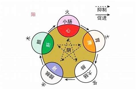 雅的五行|雅字的五行属性